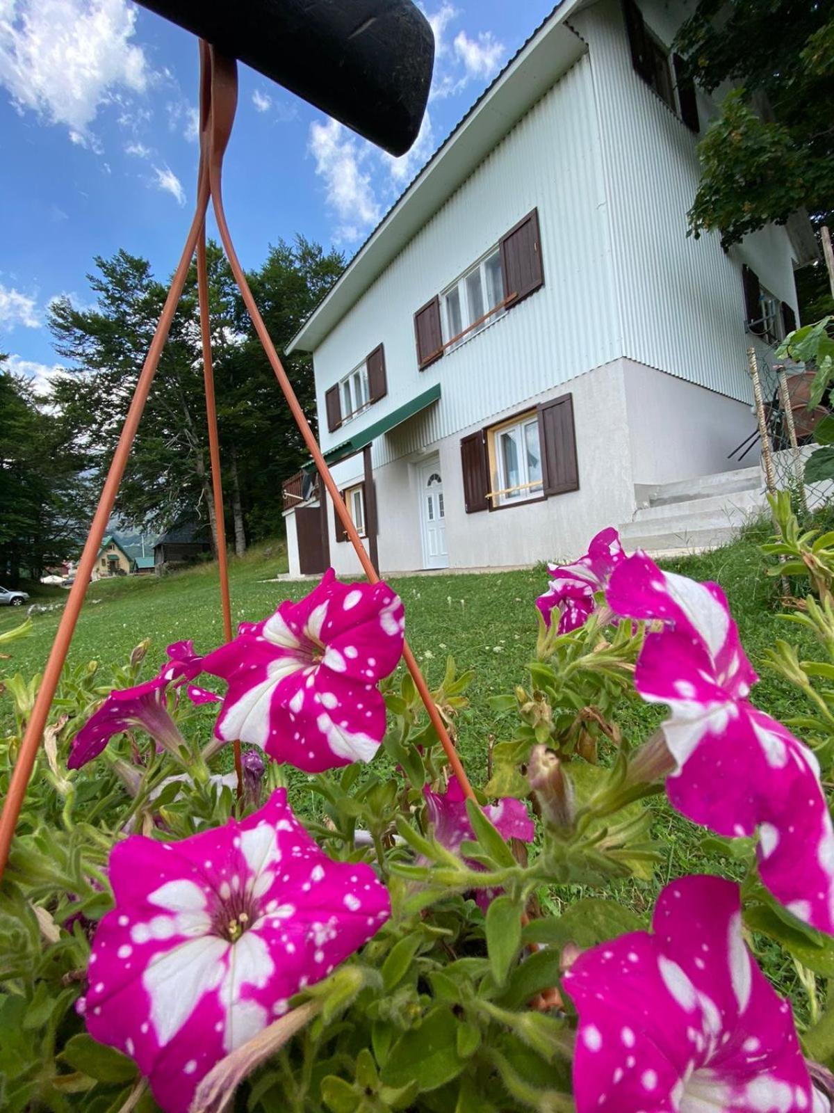 Apartments Marta Žabljak Exterior foto